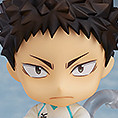 Nendoroid #699 - Hajime Iwaizumi (岩泉一) from Haikyu!!